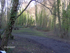 
Nine Mile Point Colliery branch from the LNWR junction, January 2007
